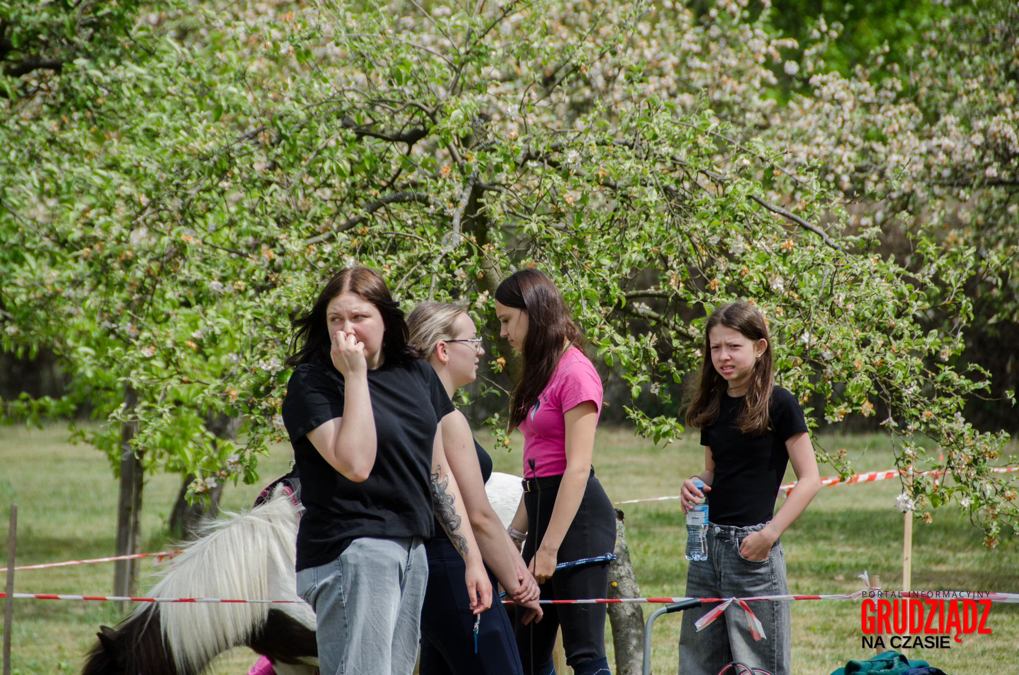 GrudziadzNaCzasie-181 IV Grudziądzki Piknik Naukowy - Relacja